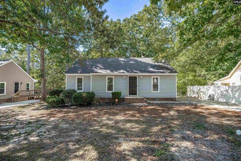 204 River Song Road active home in New Friarsgate, Irmo, SC