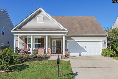 132 Luna Trail active home in Meadowview, Lexington, SC