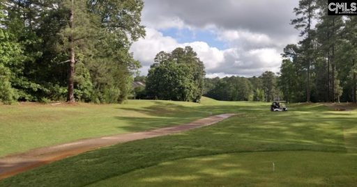 509 Misty Banks Drive active home in Whitewater Landing, Chapin, SC