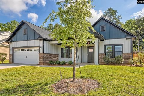 256 Murray Falls Lane active home in Collins Cove, Chapin, SC