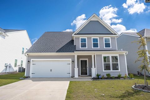 578 Bee Balm Drive active home in The Falls, Blythewood, SC