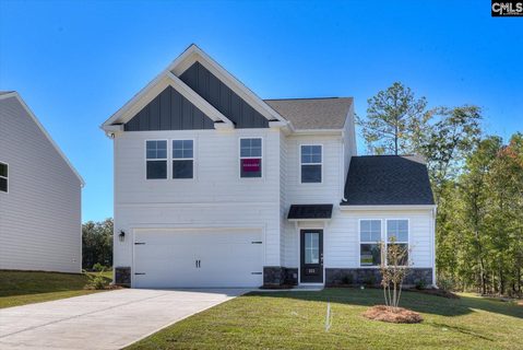 353 Grannys Cut Way pending home in Chapin Place, Chapin, SC