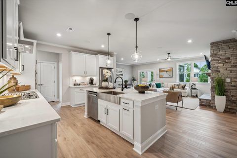 491 Grannys Cut Way pending home in Chapin Place, Chapin, SC