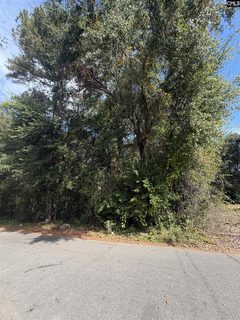 4327 Surfwood Drive active land listing in Bluff Estates, Columbia, SC