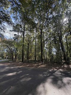 4319 Charter Court active land listing in Starlite, Columbia, SC