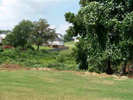 Lot 30 54 Wild Cherry Circle