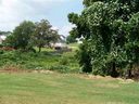 Lot 30 54 Wild Cherry Circle sold home in Lyman, SC