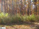 28 Valley Crest sold home in Travelers Rest, SC