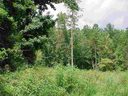 A Oak Drive sold home in Laurens, SC