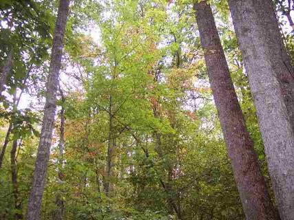 22+/- Acres Old Cedar Rock Road sold home in Monte Vista, Easley, SC