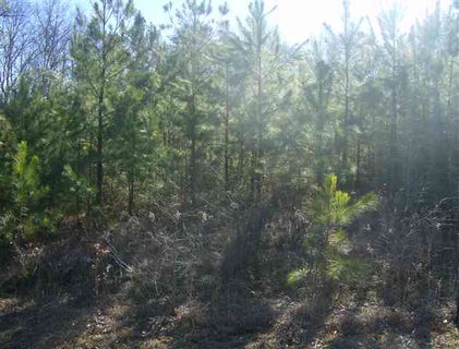 Lot 37 Ravenwood Circle