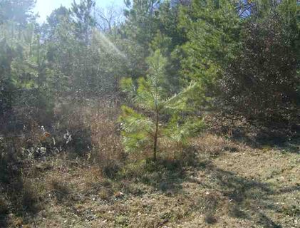 Lot 36 Ravenwood Circle