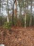 25 Riley Hill Court Lot 14 sold home in Greer, SC