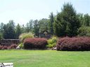353 Woodmere Drive Lot 91 sold home in Pickens, SC