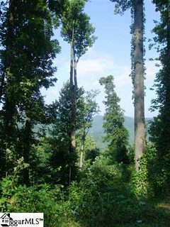 105 Bella Vista Court Cv-Cm-1 Valley, Corbin Mountain, Lot 1