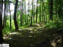 157 Bella Vista Court Cv-Cm-3 Valley, Corbin Mountain, Lot 3 sold home in Zirconia, SC