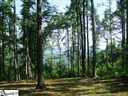 39 Sapphire Trail Cv-Cm-5A Valley, Corbin Mountain, Lot 5A sold home in Zirconia, SC