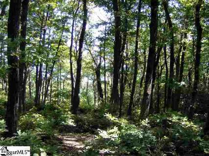 0 Bella Vista Court Cv-Cm-7 Valley, Corbin Mountain, Lot 7