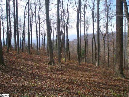 232 Bella Vista Court Cv-Cm-8 Valley, Corbin Mountain, Lot 8