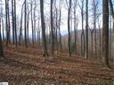 232 Bella Vista Court Cv-Cm-8 Valley, Corbin Mountain, Lot 8 sold home in Zirconia, SC