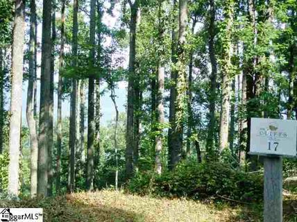 341 Bella Vista Court Cv-Cm-17 Valley, Corbin Mountain, Lot 17