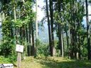 440 Bella Vista Court Cv-Cm-21 Valley, Corbin Mountain, Lot 21 sold home in Zirconia, SC