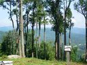 441 Bella Vista Court Cv-Cm-22 Valley, Corbin Mountain, Lot 22 sold home in Zirconia, SC