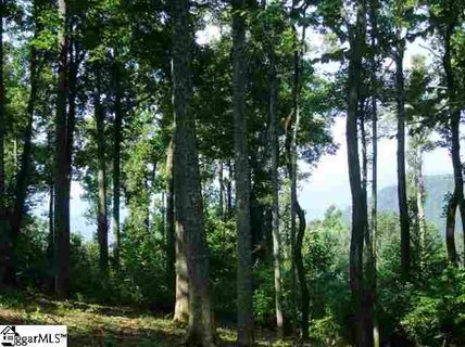 297 Bella Vista Court Cv-Cm-23 Valley, Corbin Mountain, Lot 23