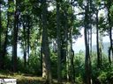 297 Bella Vista Court Cv-Cm-23 Valley, Corbin Mountain, Lot 23 sold home in Zirconia, SC