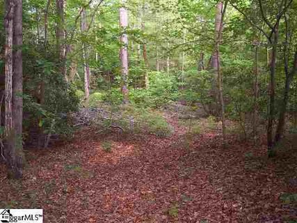 354 Gauley Falls Road