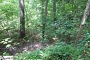 Lots 68 & 67 Wildflower Lane sold home in Travelers Rest, SC