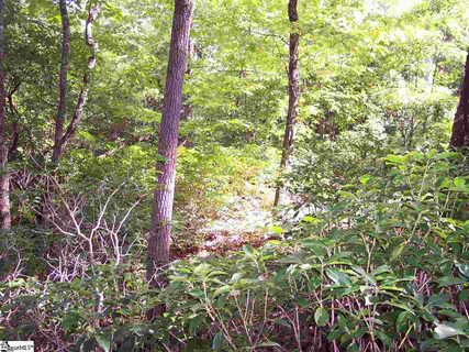 Lot 5 Woods Pond Court sold lot in Little Bald Rock Club, Cleveland, SC