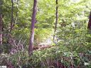 Lot 4 Woods Pond Court sold home in Cleveland, SC