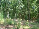 34 Coachman Drive sold home in Simpsonville, SC