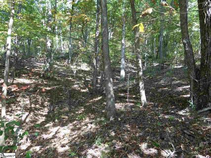Lt. 43 Old Rockhouse Road