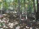 Lt. 43 Old Rockhouse Road sold home in Greenville, SC