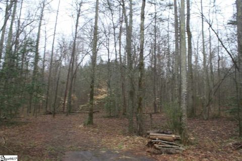 114 Barfield Drive sold lot in Hawthorne Ridge, Easley, SC