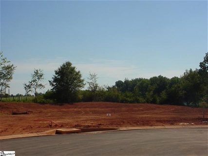 219 Clearridge Way sold lot in Robinson Landing, Greer, SC