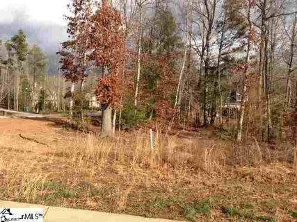 302 Allegheny Run sold lot in Allegheny, Simpsonville, SC