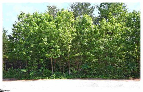 236 Lehman Moseley Ridge LOT 13 sold lot in Mountain Edge, Greenville, SC