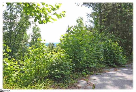 240 Lehman Moseley Ridge LOT 14 sold lot in Mountain Edge, Greenville, SC