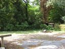 110 Loop Street sold home in Greenville, SC