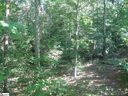 106 Prince Williams Court sold home in Simpsonville, SC