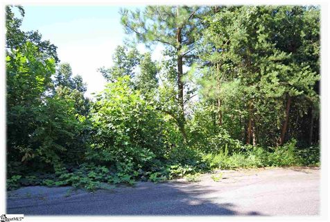 244 Lehman Moseley Ridge LOT 15 sold lot in Mountain Edge, Greenville, SC
