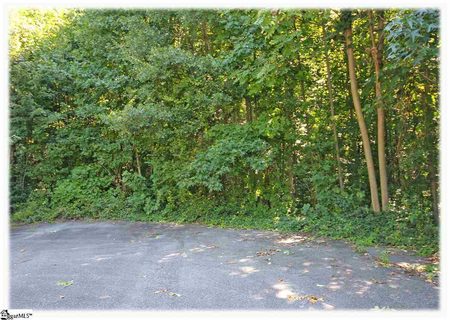245 Lehman Moseley Ridge LOT 16 sold lot in Mountain Edge, Greenville, SC
