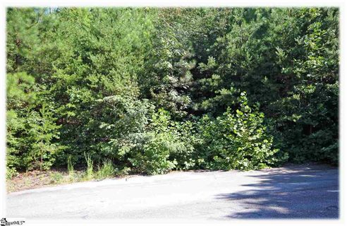 235 Lehman Moseley Ridge LOT 17A sold lot in Mountain Edge, Greenville, SC