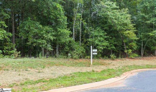 309 Red Spruce Lane Lot 60