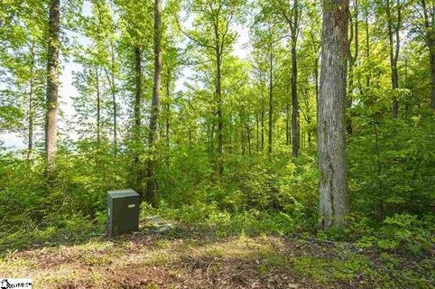 115 Greenedge Lane (Lot 13) sold lot in The Ridges At Paris Mountain, Greenville, SC