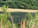 00 Jones Mill Road Lot.W/14 sold home in Fountain Inn, SC