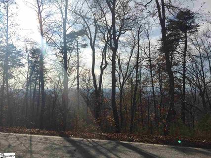 00 Altamont Road Lot 1